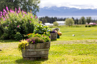 sara_kauss_photography_4895