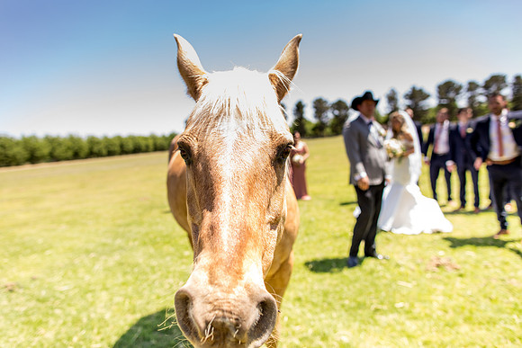 sara-kauss-photography-1167