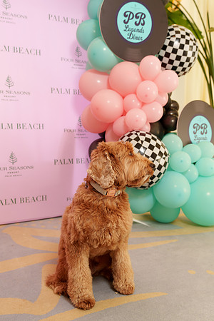 sara_kauss_photography_02860