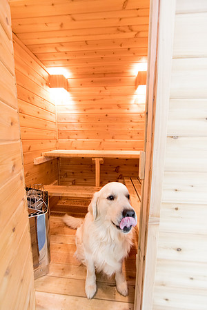 sara-kauss-photography-7236