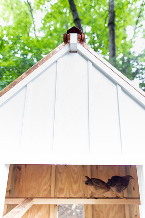 sara_kauss_photography_0072