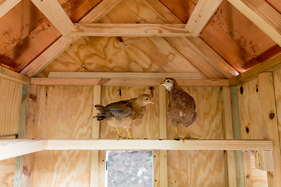 sara_kauss_photography_0066