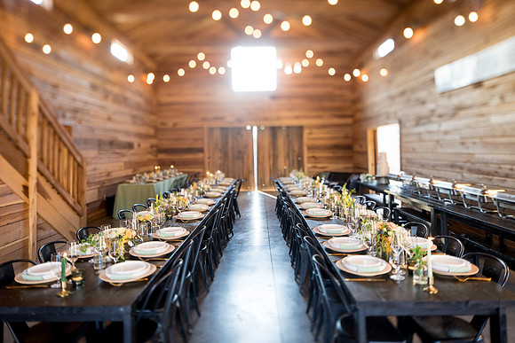 sara_kauss_photography_0396