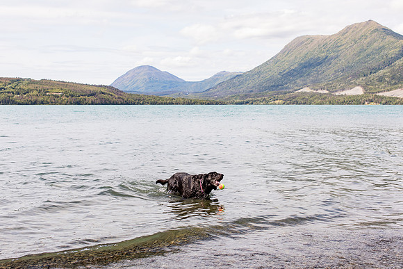 sara_kauss_photography_4265