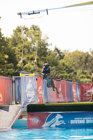 sara_kauss_photography_1297