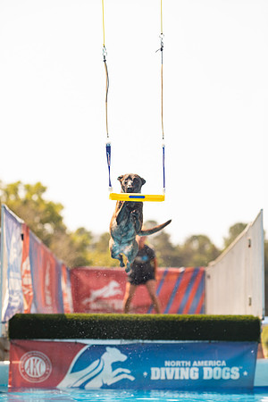 sara_kauss_photography_1314