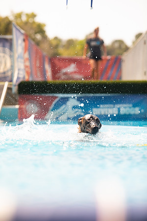 sara_kauss_photography_1320