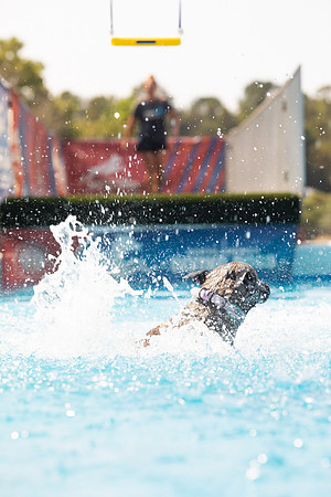 sara_kauss_photography_1335