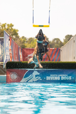 sara_kauss_photography_1331