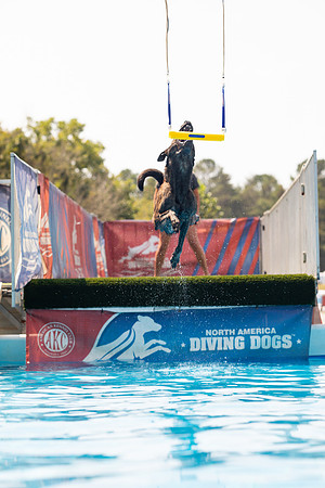 sara_kauss_photography_1348