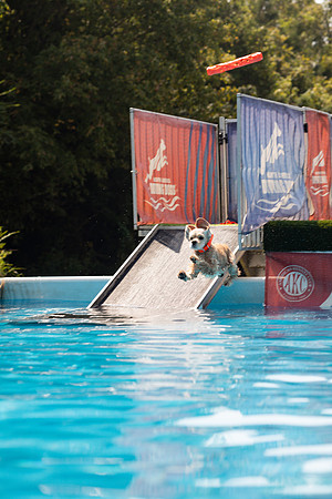 sara_kauss_photography_1357