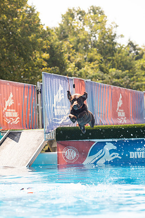 sara_kauss_photography_1362