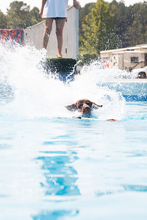 sara_kauss_photography_1376