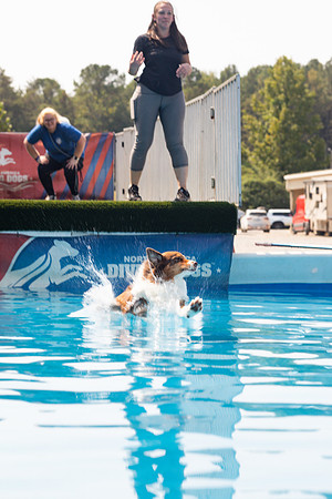 sara_kauss_photography_1492