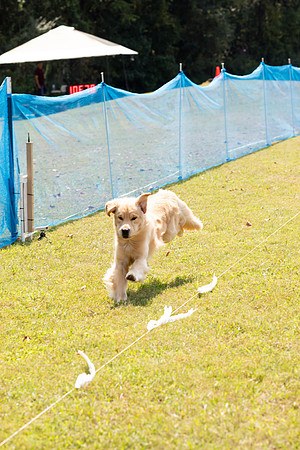 sara_kauss_photography_1553