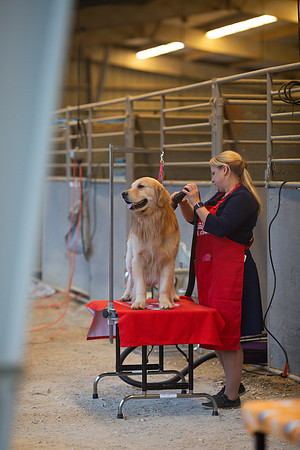sara_kauss_photography_5263