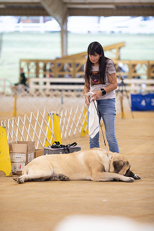 sara_kauss_photography_5272
