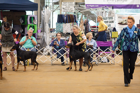 sara_kauss_photography_5361
