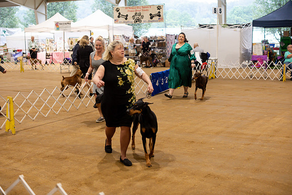 sara_kauss_photography_5370
