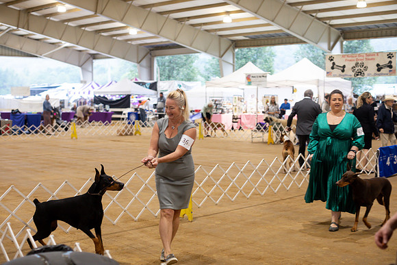 sara_kauss_photography_5371