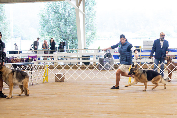 sara_kauss_photography_5393