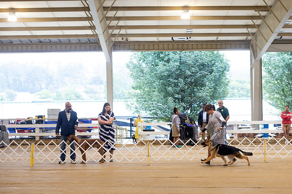 sara_kauss_photography_5377