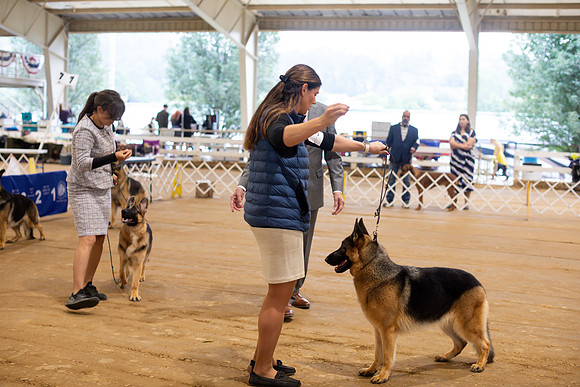 sara_kauss_photography_5388