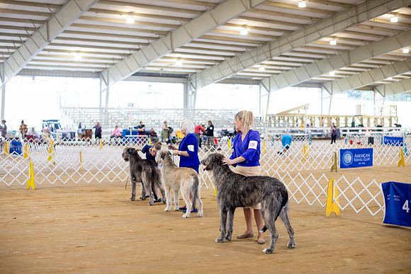 sara_kauss_photography_5485