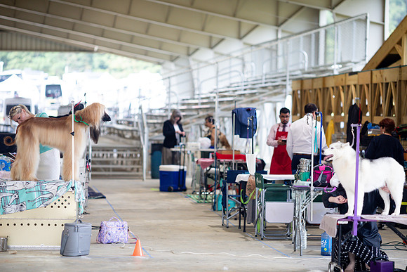 sara_kauss_photography_5514