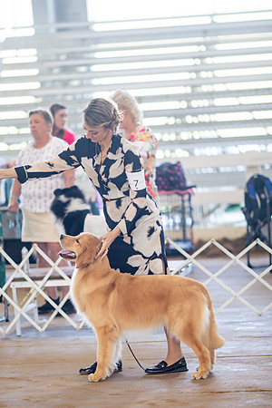 sara_kauss_photography_5744