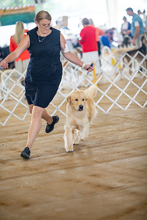 sara_kauss_photography_5785
