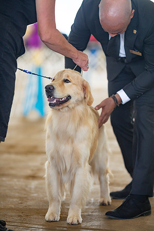 sara_kauss_photography_5797