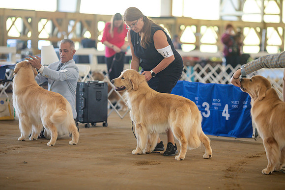 sara_kauss_photography_5880