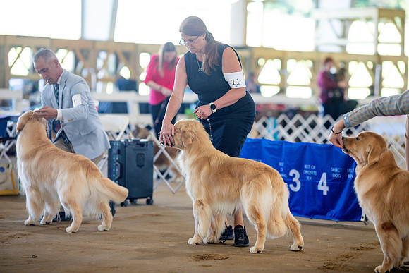 sara_kauss_photography_5881