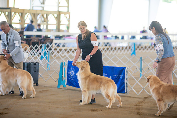 sara_kauss_photography_5905