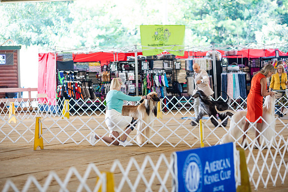 sara_kauss_photography_5949