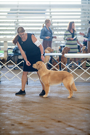 sara_kauss_photography_5938