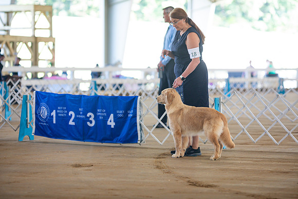sara_kauss_photography_5955