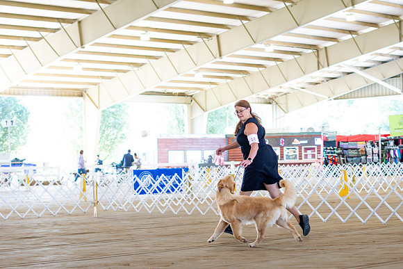 sara_kauss_photography_5991