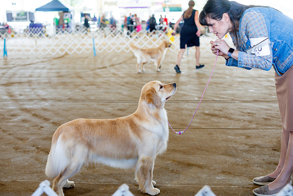 sara_kauss_photography_6029