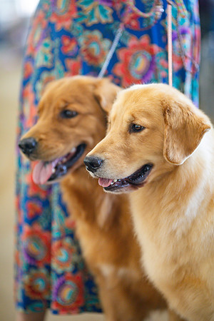 sara_kauss_photography_6077