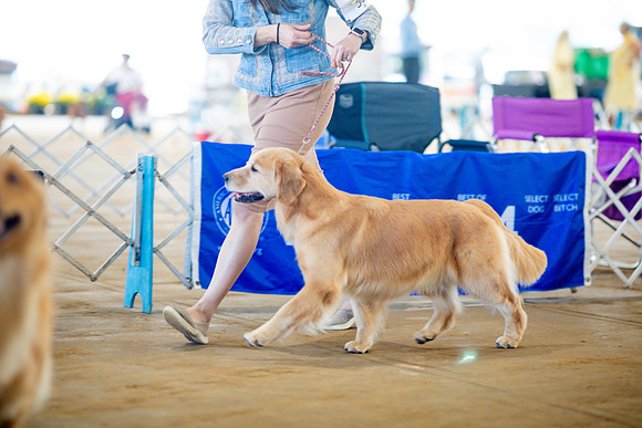 sara_kauss_photography_6106