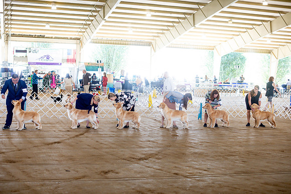 sara_kauss_photography_6150