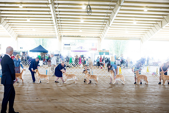 sara_kauss_photography_6152