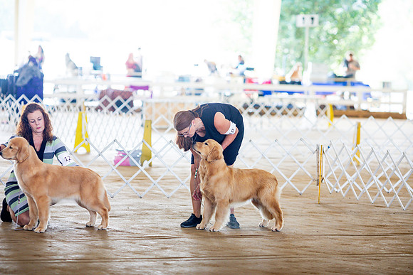 sara_kauss_photography_6164