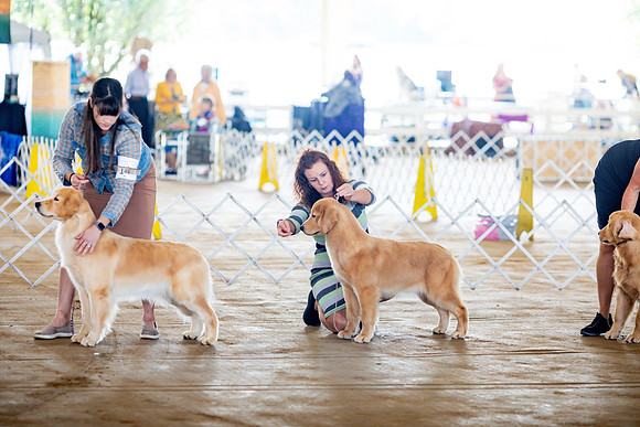 sara_kauss_photography_6163