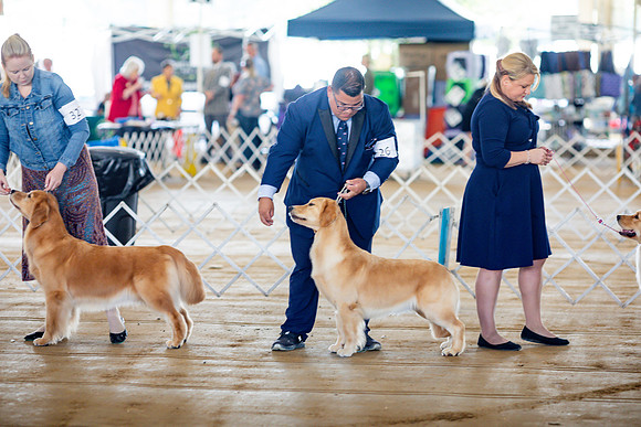sara_kauss_photography_6160
