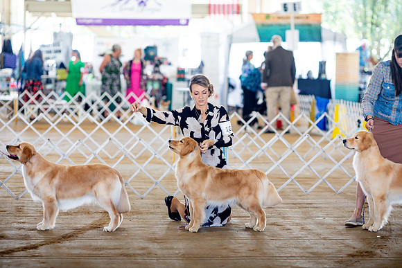 sara_kauss_photography_6166