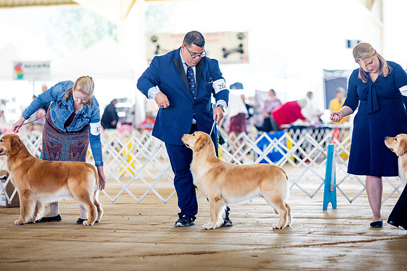 sara_kauss_photography_6178