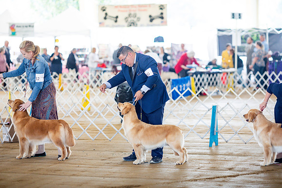 sara_kauss_photography_6174